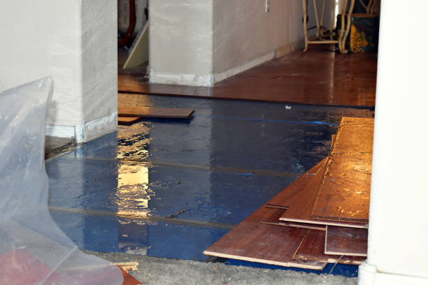 Professional Burst Pipe Cleanup technician working in Roxbury, MA